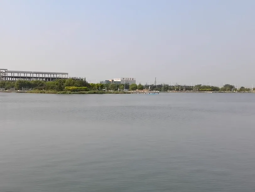 image.webp