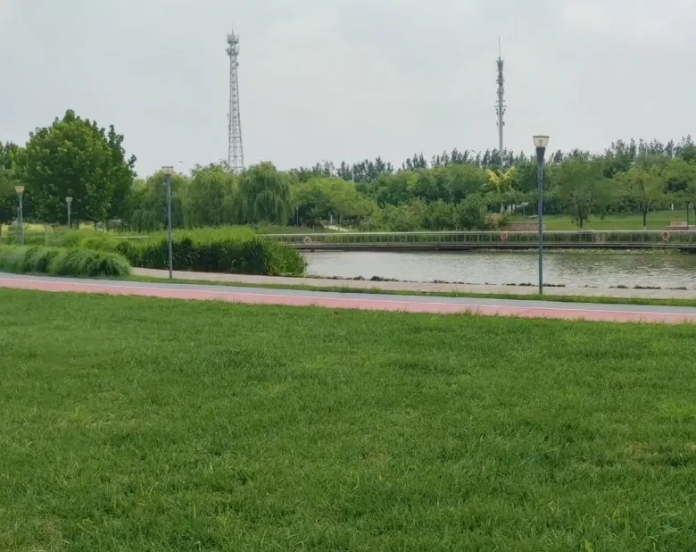 image.webp