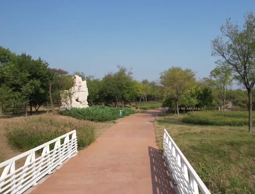 image.webp