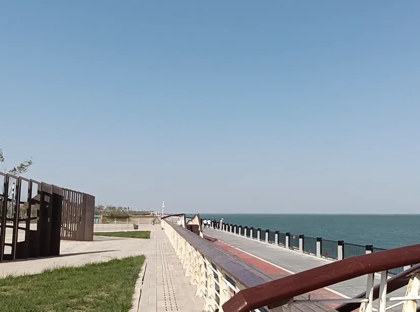 image.webp