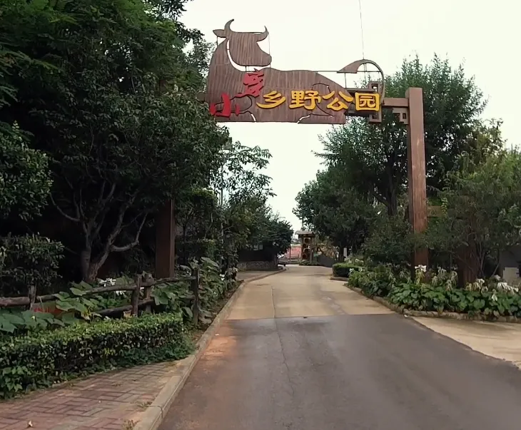 image.webp