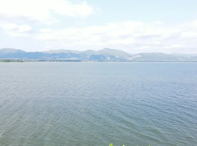 image.webp
