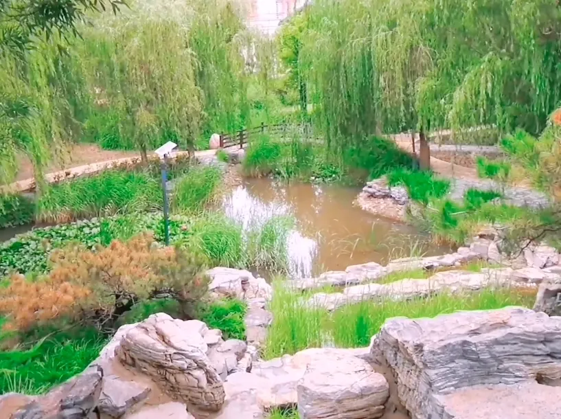 image.webp