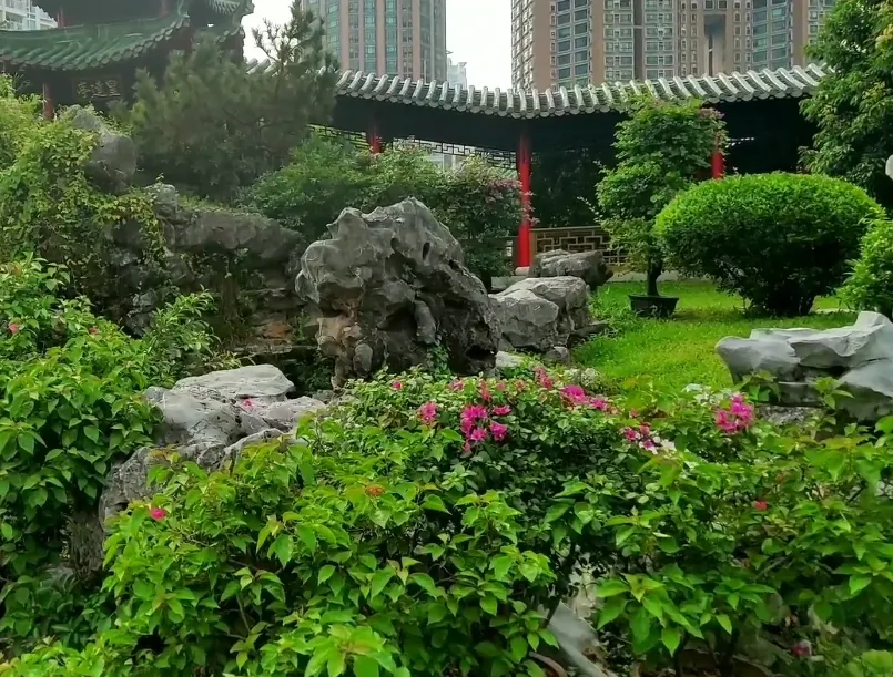 image.webp