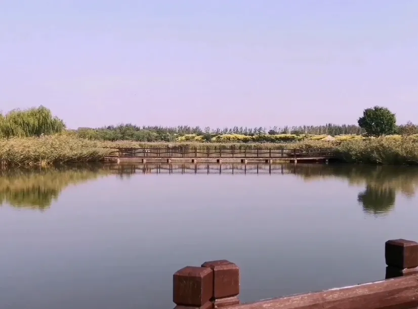 image.webp