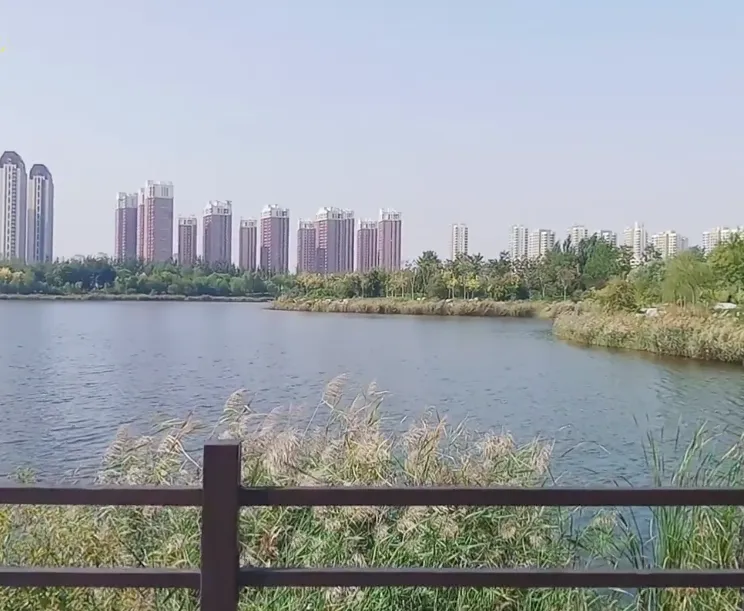 image.webp