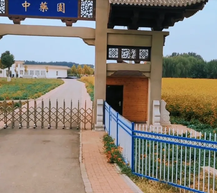 image.webp