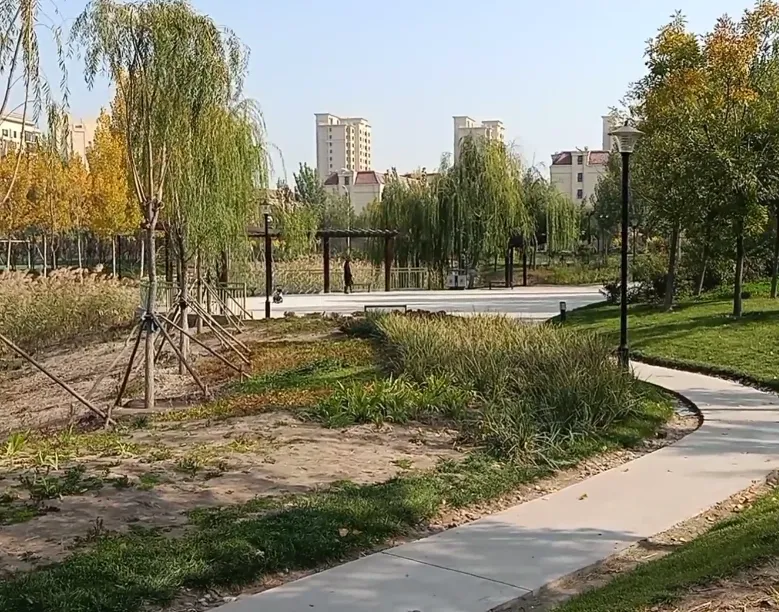 image.webp