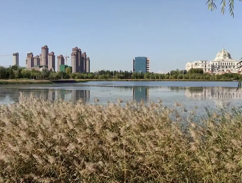 image.webp