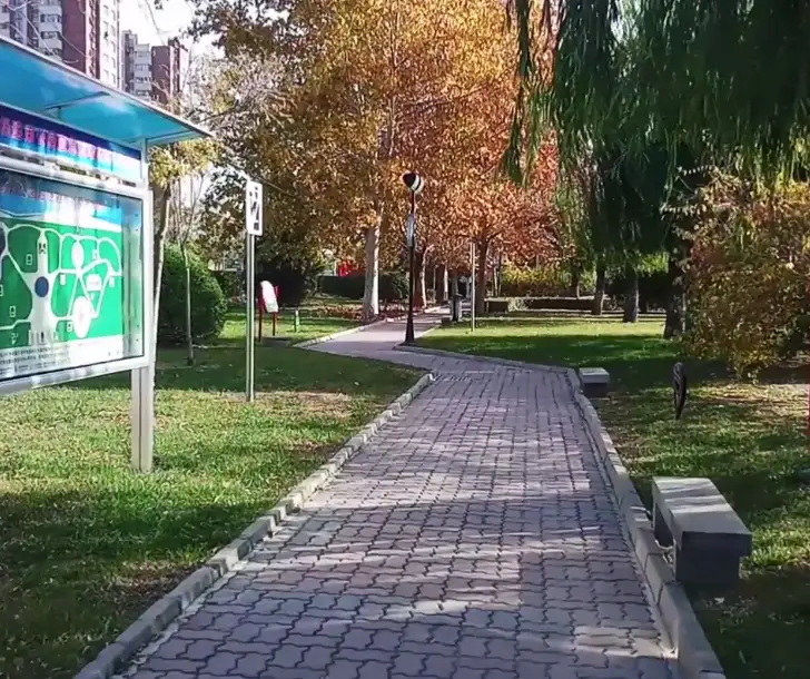 image.webp