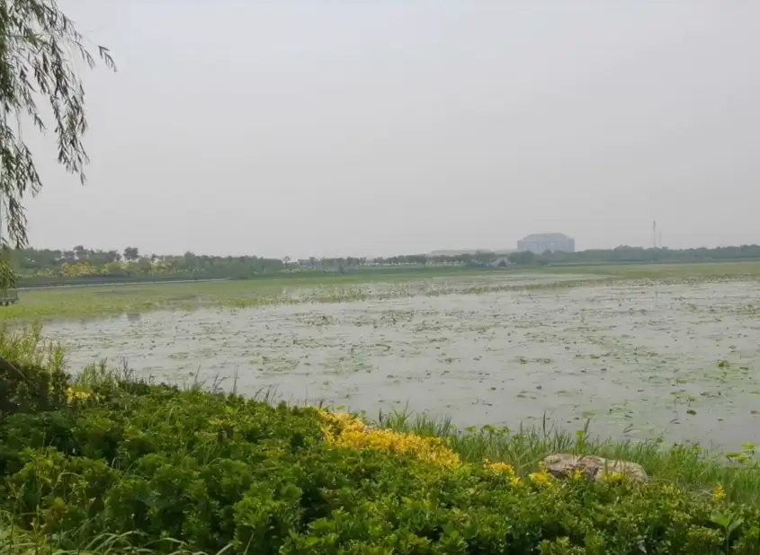 image.webp