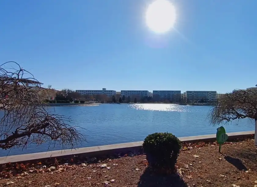 image.webp