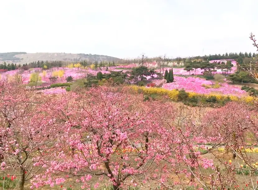 image.webp