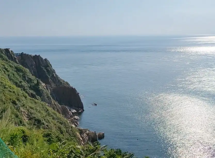image.webp