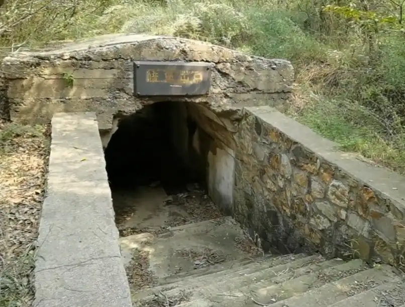 image.webp