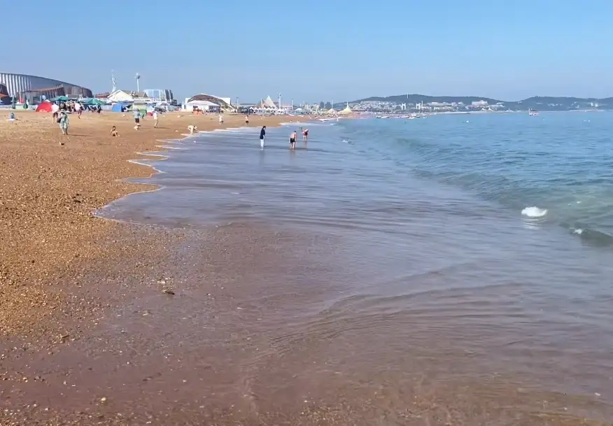 image.webp