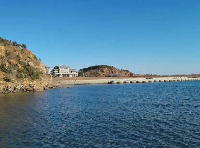 image.webp