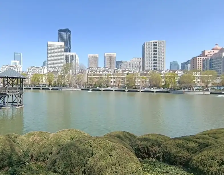 image.webp