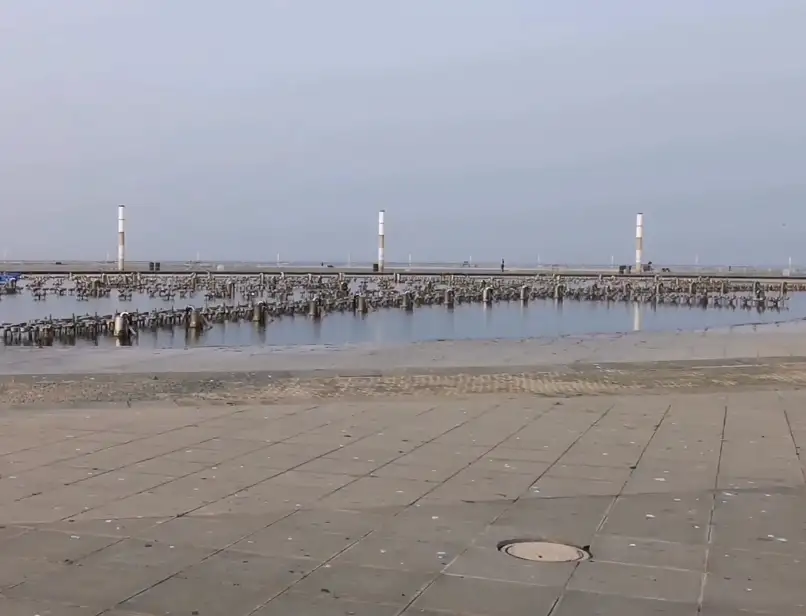 image.webp