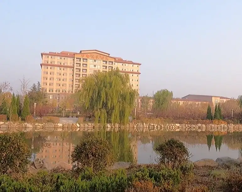 image.webp