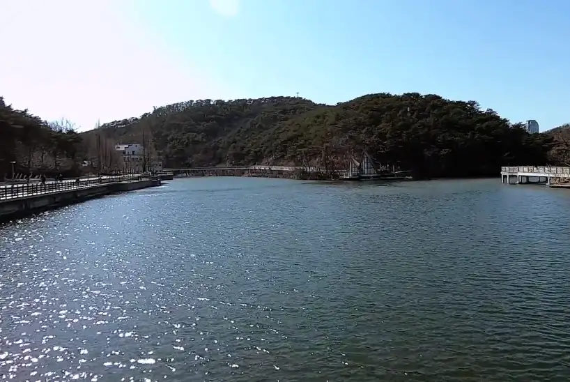 image.webp