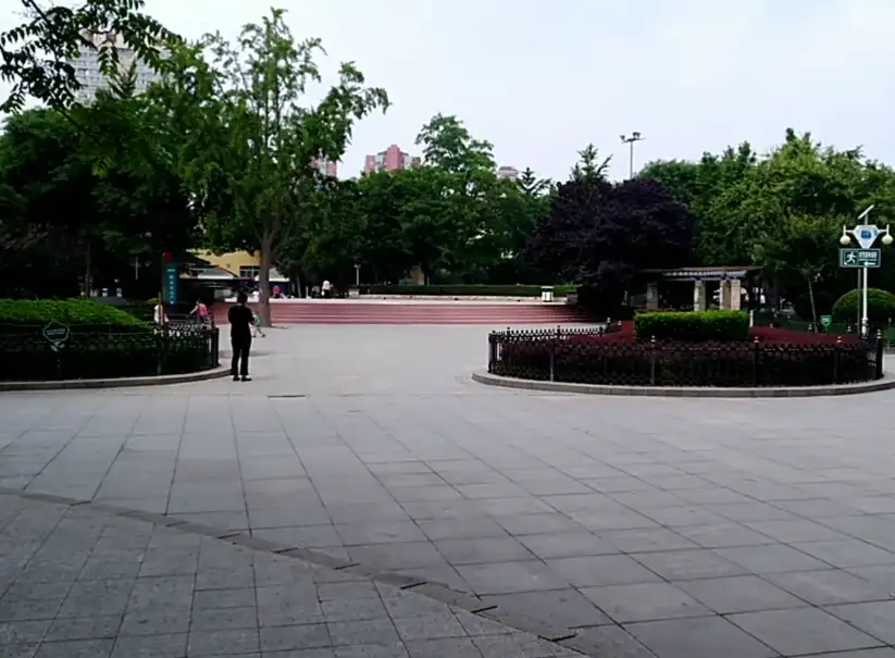 image.webp