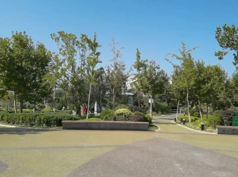 image.webp