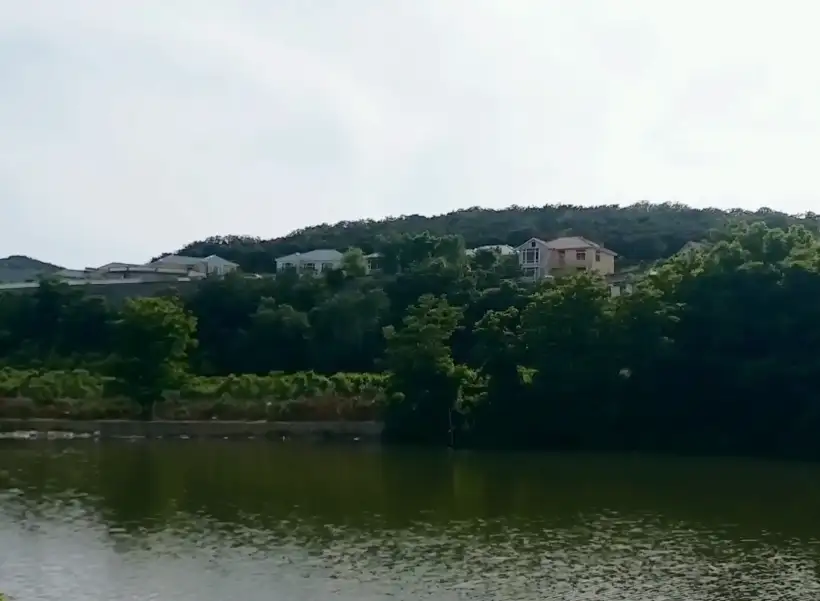 image.webp