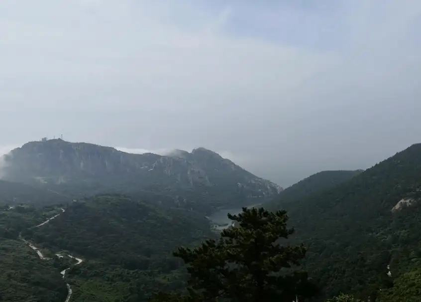 image.webp