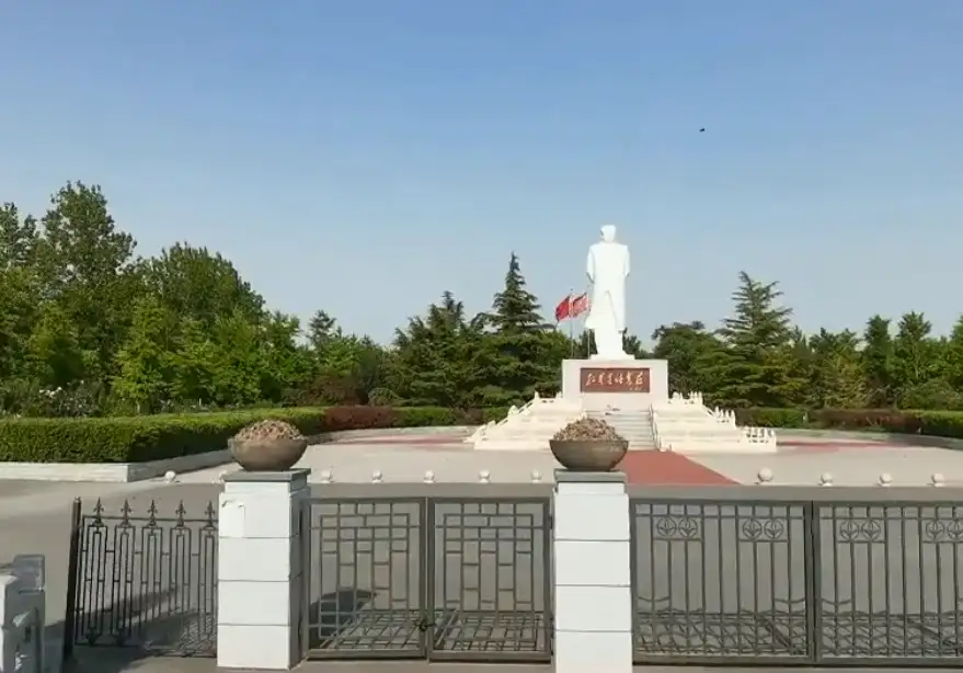 image.webp