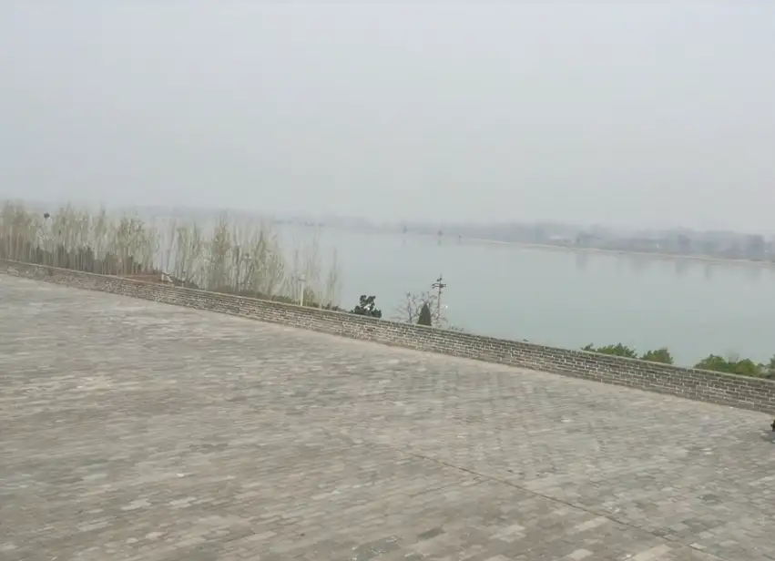image.webp