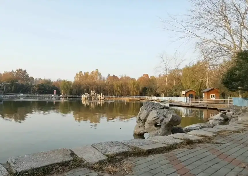 image.webp