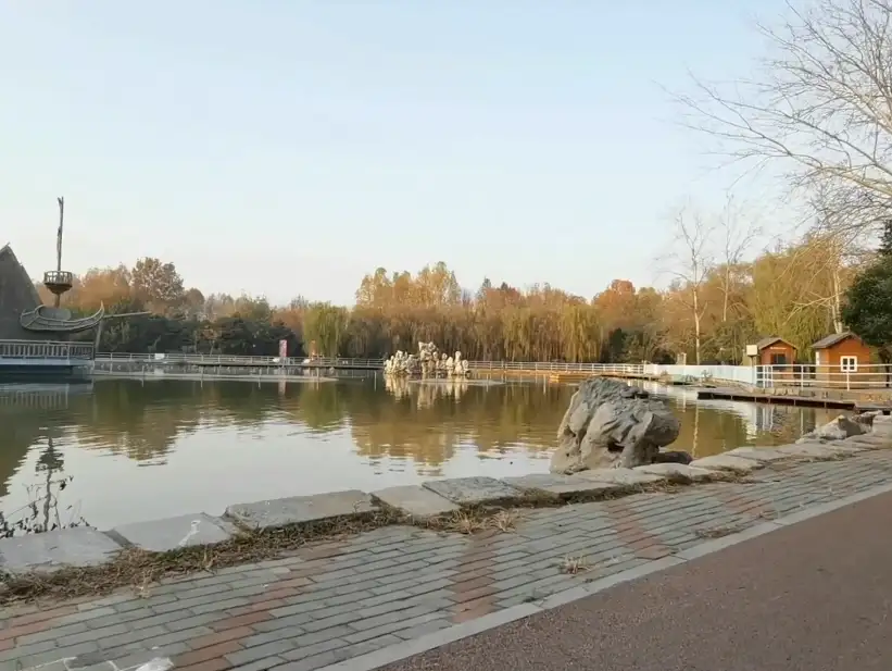 image.webp