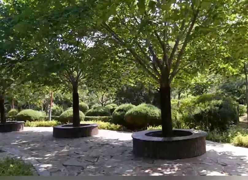 image.webp