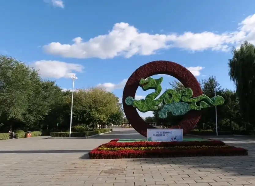 image.webp