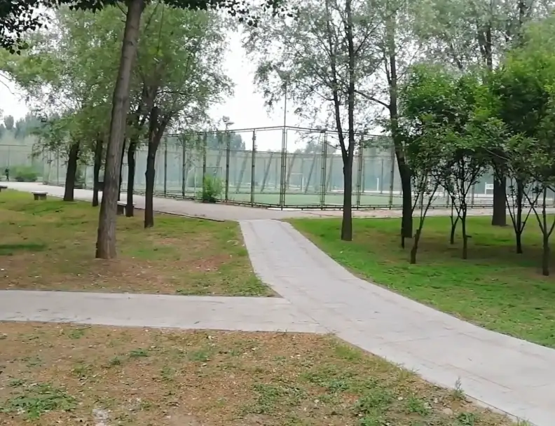 image.webp