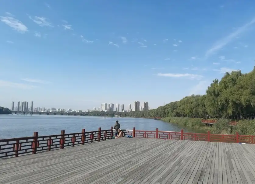 image.webp