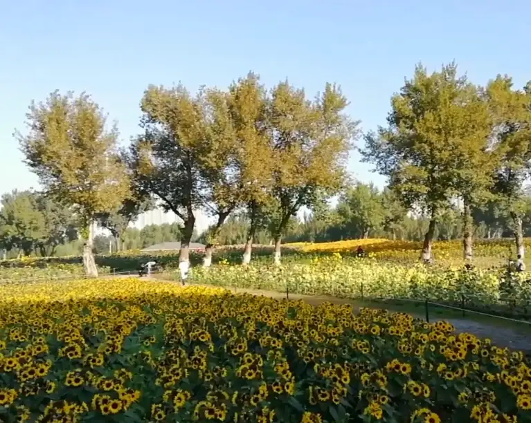 image.webp