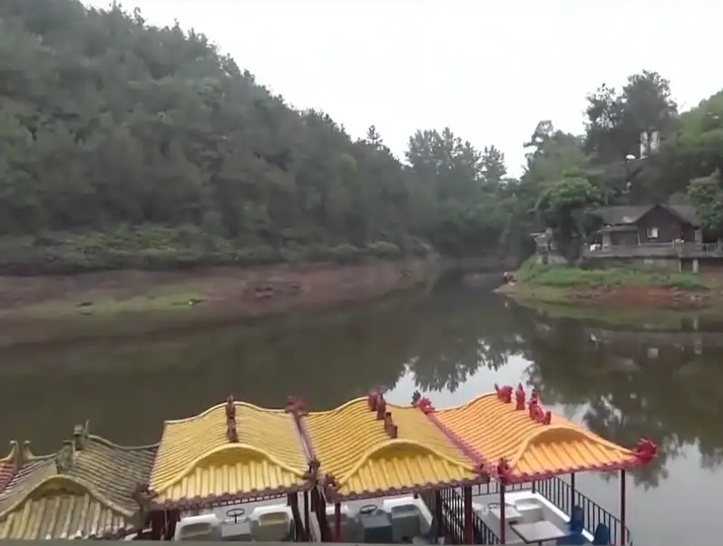 image.webp
