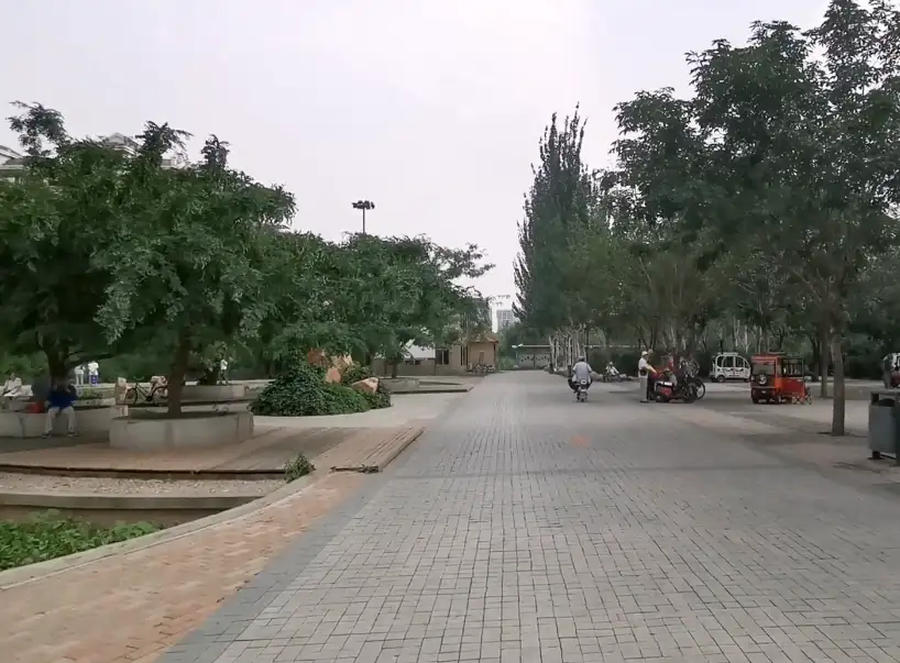 image.webp