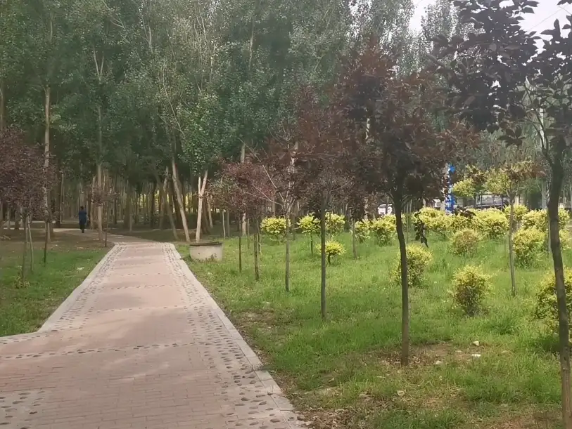 image.webp