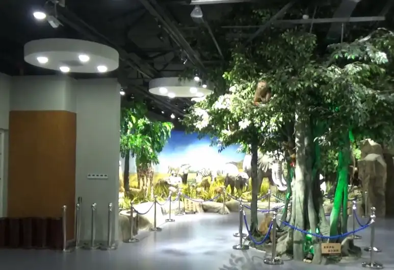 image.webp