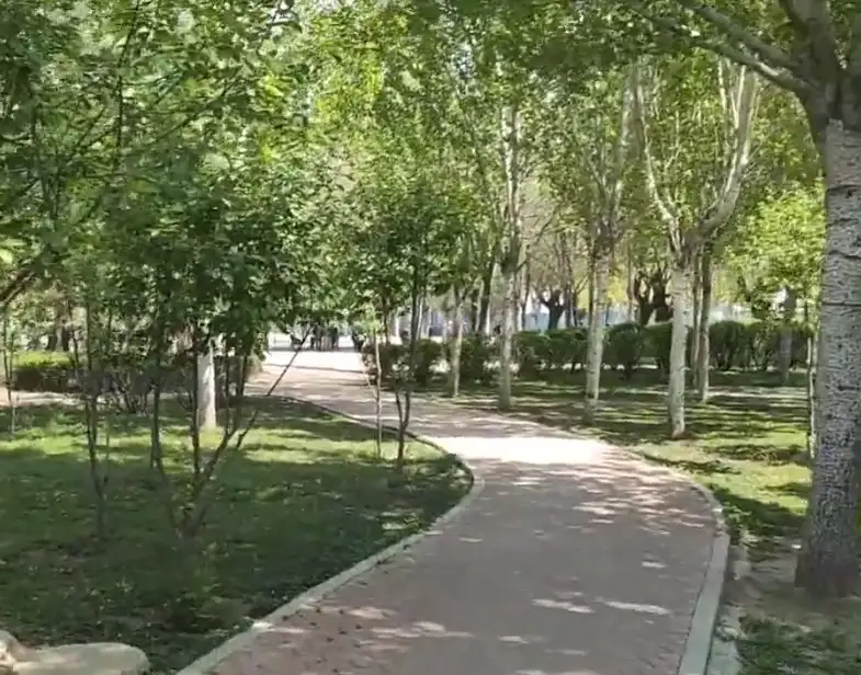 image.webp