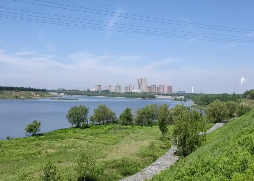 image.webp