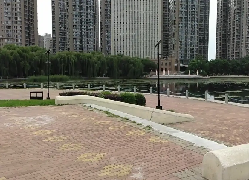 image.webp