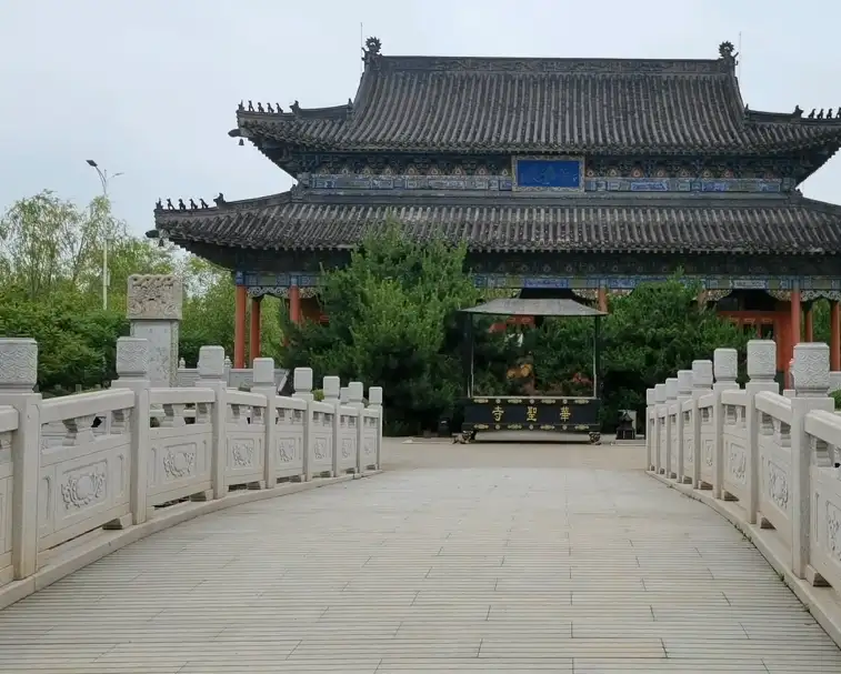 image.webp