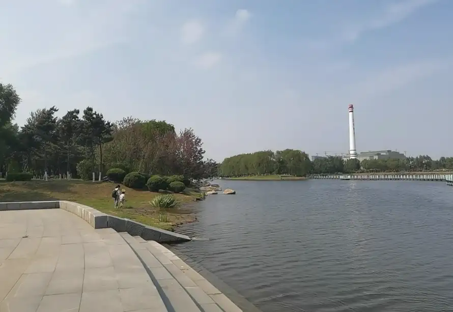 image.webp