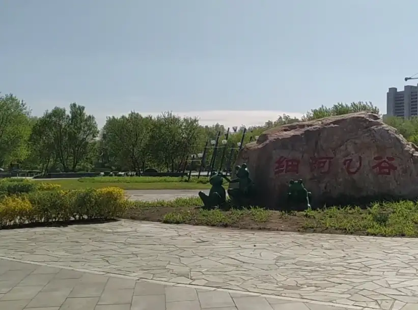image.webp