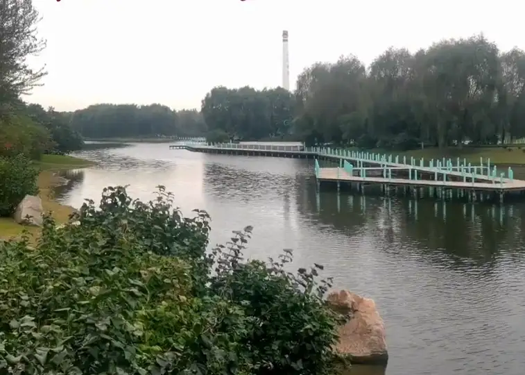 image.webp