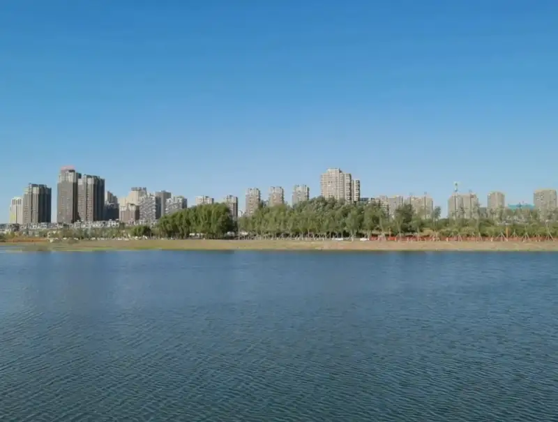 image.webp